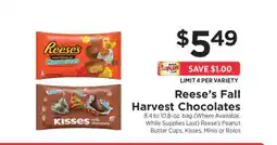 ShopRite Reeseβs Fall Harvest Chocolates offer