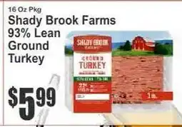 Key Food Shady Brook Farms 93% Lean Ground Turkey offer