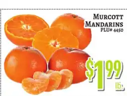 Trade Fair Supermarket MURCOTT MANDARINS offer