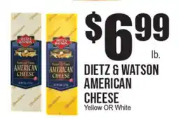 Extra Supermarket DIETZ & WATSON AMERICAN CHEESE offer