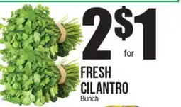 Extra Supermarket FRESH CILANTRO offer