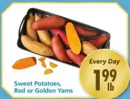 Safeway Sweet Potatoes, Red or Golden Yams offer