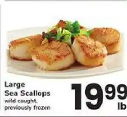 Safeway Large Sea Scallops offer