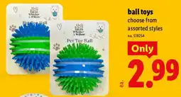 Lidl Whisker & Willow pet toy ball offer