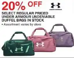 Dunham's Sports Under Armour Undeniable Duffel Bag offer