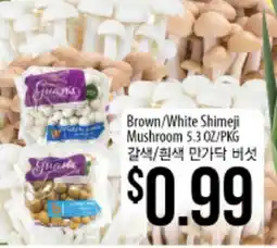 Hmart Brown/White Shimeji Mushroom offer