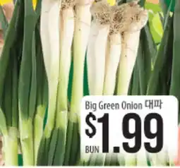 Hmart Big Green Onion offer