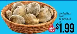 Hmart Live Top Neck Clams offer