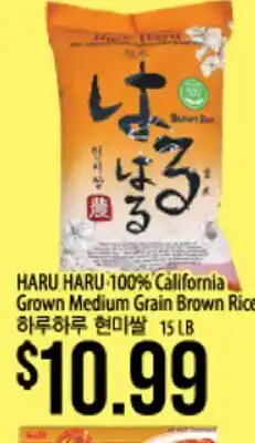 Hmart HARU HARU 100% California Grown Medium Grain Brown Rice offer