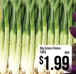 Hmart Big Green Onion offer