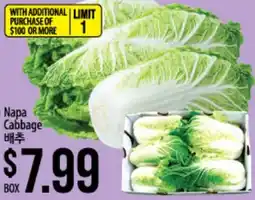 Hmart Napa Cabbage offer
