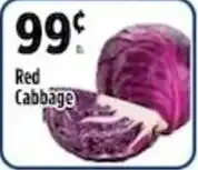 Red Cabbage