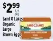 Pioneer Supermarkets Land O Lakes organic large brown eggs offer
