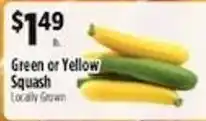 Pioneer Supermarkets Green or Yellow Squash offer
