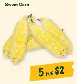 Sprouts Farmers Market Sweet Corn offer