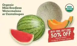 Sprouts Farmers Market Organic Mini Seedless Watermelons or Cantaloupes offer