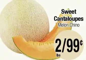 Sweet Cantaloupes Melon Chino