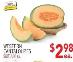 Ingles Markets Western cantaloupes offer