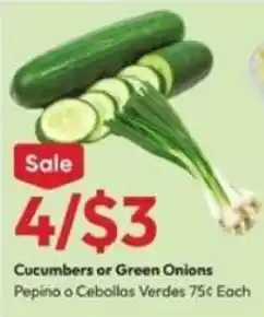 Stater Bros Cucumbers or Green Onions offer