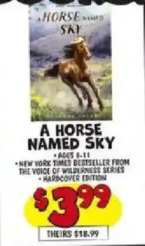 Ollie's A Horse Named Sky offer