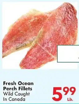 Fairplay Fresh Ocean Perch Fillets offer