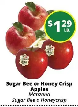 Rancho Markets Sugar Bee or Honey Crisp Apples offer