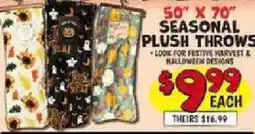 Ollie's Seasonal plush throws offer