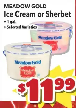 Times Supermarkets Meadow Gold Ice Cream or Sherbet offer