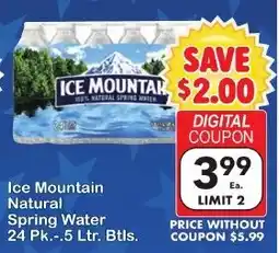 Fairplay Ice Mountain Natural Spring Water offer