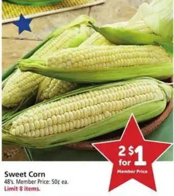 Sweet Corn