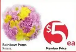 Safeway Rainbow Poms offer