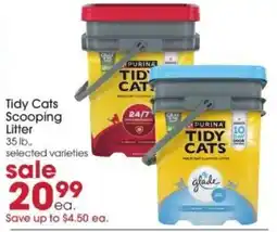 Giant Eagle Tidy Cats Scooping Litter offer