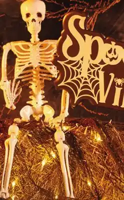 Family Dollar Light-Up Porch Leaner 48 in. or Posable Skeleton 3 ft offer