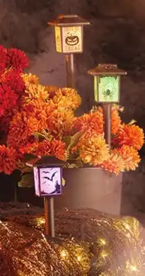 Family Dollar Solar Lantern Stake offer