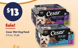 Family Dollar Cesar Wet Dog Food offer