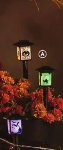 Family Dollar Solar Lantern Stake, or Spider Web with 4 Spiders offer