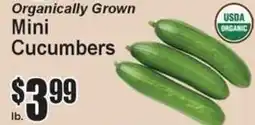 Super Fresh Organically Grown Mini Cucumbers offer