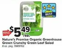 Giant Food Nature's Promise Organic Greenhouse Grown Crunchy Green Leaf Salad offer
