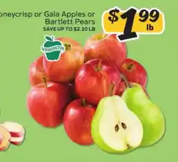 Winn Dixie Honeycrisp or Gala Apples or Bartlett Pears offer