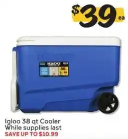 Winn Dixie Igloo 38 qt Cooler offer