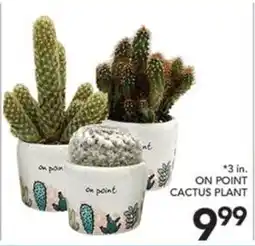 Pete's Fresh Market On Point Cactus Plant offer