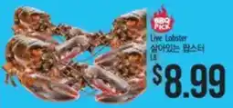 Hmart Live Lobster offer