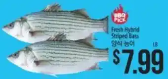 Hmart Fresh Hybrid Striped Bass offer