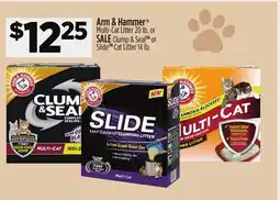 Dollar General Arm & Hammer Multi-Cat Litter 20 lb. or SALE Clump & Seal or Slide Cat Litter 14 lb offer