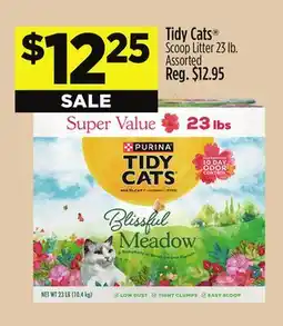 Dollar General Tidy Cats Scoop Litter offer