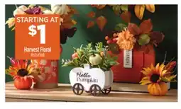 Dollar General Harvest Floral offer