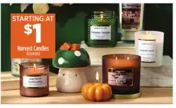 Dollar General Harvest Candles offer