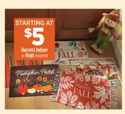 Dollar General Harvest Indoor Rugs offer