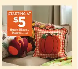 Dollar General Harvest Pillows or Throws offer