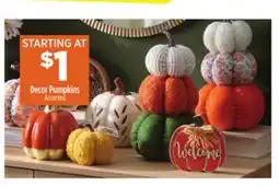 Dollar General Decor Pumpkins offer